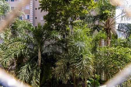 Vista do Quarto 1 de apartamento para alugar com 2 quartos, 45m² em Centro, Guarulhos