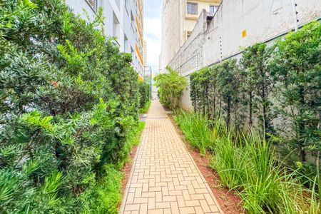 Apartamento à venda com 33m², 2 quartos e sem vaga Apartamento à venda com 33m², 2 quartos e sem vagaÁrea comum