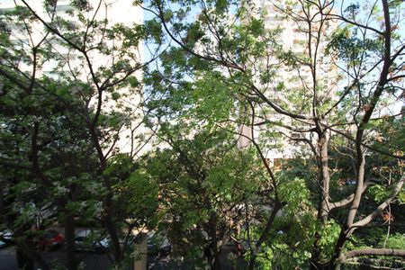 Apartamento para alugar com 50m², 2 quartos e 1 vagaSala - Varanda