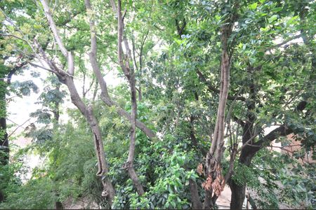 Apartamento à venda com 41m², 1 quarto e 1 vagaVista do Quarto