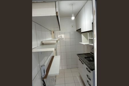 Cozinha de apartamento para alugar com 3 quartos, 64m² em Parque Reboucas, São Paulo