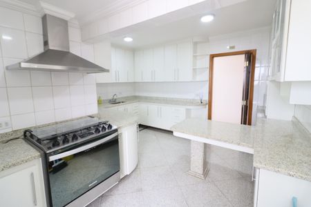 Apartamento à venda com 321m², 4 quartos e 5 vagasCozinha