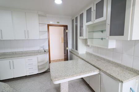 Apartamento à venda com 321m², 4 quartos e 5 vagasCozinha