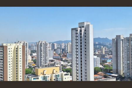 Apartamento à venda com 223m², 3 quartos e 4 vagasVista