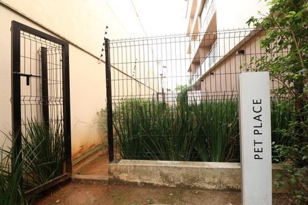 Apartamento para alugar com 31m², 1 quarto e sem vagaPet Place