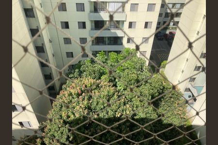 Apartamento à venda com 3 quartos, 71m² em Vila Palmeiras, São Paulo