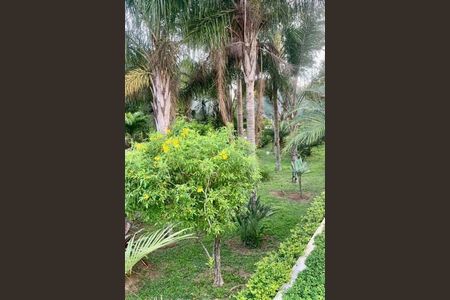 Apartamento à venda com 75m², 2 quartos e 1 vaga