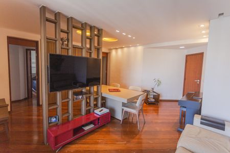 Sala de apartamento à venda com 3 quartos, 116m² em Funcionários, Belo Horizonte