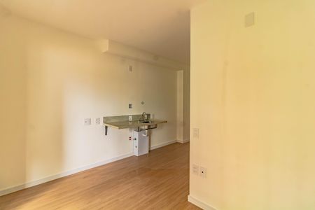 Studio de kitnet/studio para alugar com 1 quarto, 24m² em Vila Santa Catarina, São Paulo