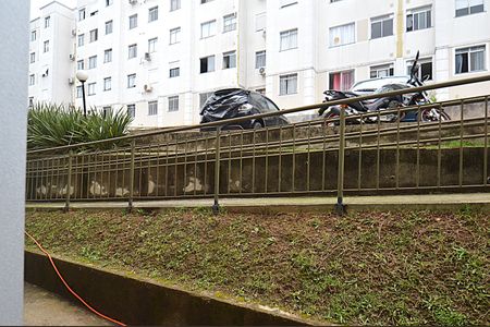 Apartamento para alugar com 69m², 2 quartos e 1 vagaVista da Janela da Área de Serviço