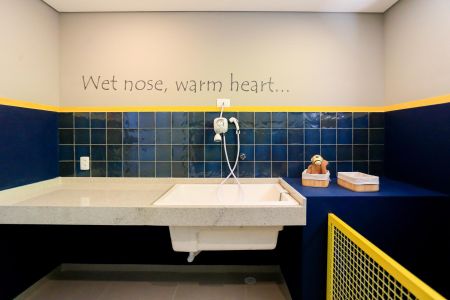 Apartamento para alugar com 26m², 1 quarto e sem vagaÁrea comum - Espaço pet