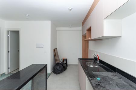 Cozinha Americana de apartamento para alugar com 2 quartos, 39m² em Barra Funda, São Paulo