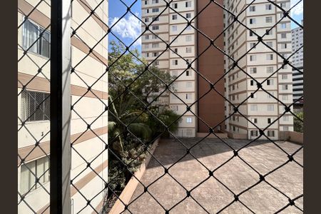 Vista do Quarto 1 de apartamento para alugar com 2 quartos, 55m² em Jardim Iris, São Paulo