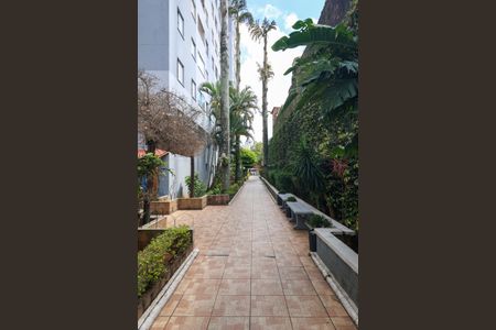 Apartamento para alugar com 56m², 3 quartos e 1 vaga Apartamento para alugar com 56m², 3 quartos e 1 vagaÁrea comum
