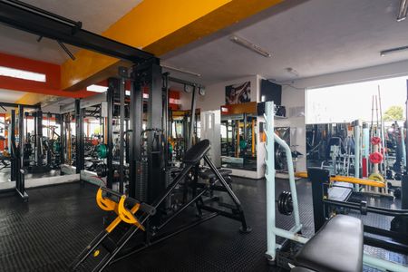Apartamento para alugar com 56m², 3 quartos e 1 vaga Apartamento para alugar com 56m², 3 quartos e 1 vagaÁrea comum - Academia
