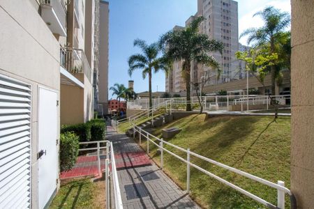 Apartamento para alugar com 60m², 3 quartos e 1 vaga Apartamento para alugar com 60m², 3 quartos e 1 vagaÁrea comum