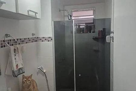 Apartamento à venda com 3 quartos, 53m² em Vargem Grande, Rio de Janeiro