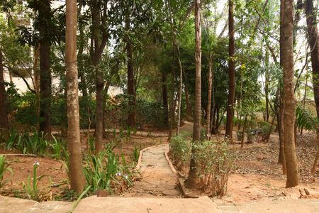 Apartamento à venda com 53m², 2 quartos e 1 vagaÁrea comum - Bosque