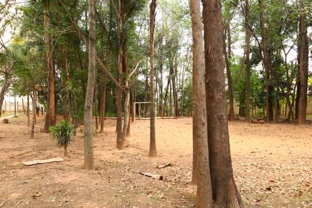 Apartamento à venda com 53m², 2 quartos e 1 vagaÁrea comum - Bosque