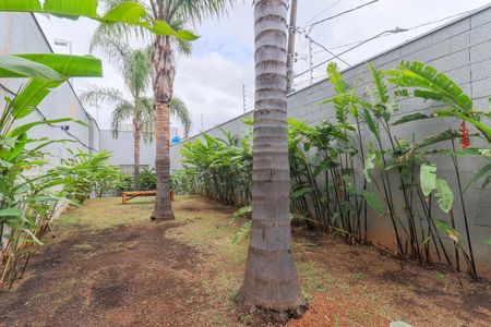 Apartamento à venda com 58m², 2 quartos e 1 vaga Apartamento à venda com 58m², 2 quartos e 1 vagaÁrea comum - Pet Place