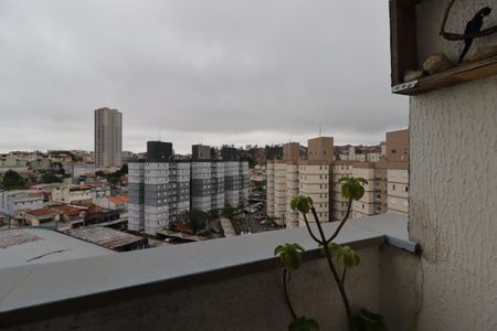 Sacada da Sala de apartamento para alugar com 3 quartos, 67m² em Vila Luzita, Santo André