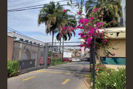 Apartamento à venda com 3 quartos, 69m² em Rio Pequeno, São Paulo