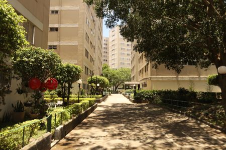 Apartamento à venda com 62m², 3 quartos e 1 vagaÁrea comum