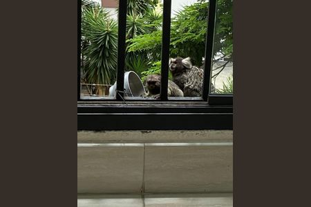 Apartamento à venda com 208m², 4 quartos e 4 vagas Apartamento à venda com 208m², 4 quartos e 4 vagasÁrea comum