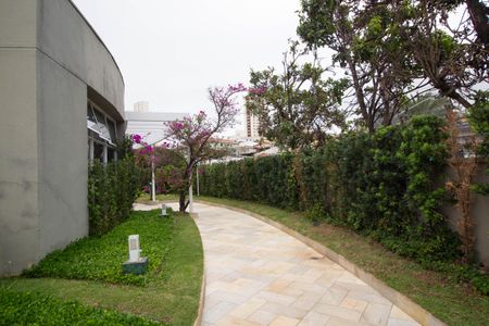 Apartamento para alugar com 153m², 3 quartos e 2 vagasÁrea comum - Caminhada