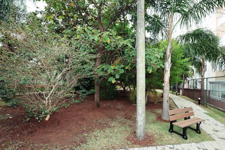 Apartamento à venda com 50m², 2 quartos e 1 vaga Apartamento à venda com 50m², 2 quartos e 1 vagaBosque