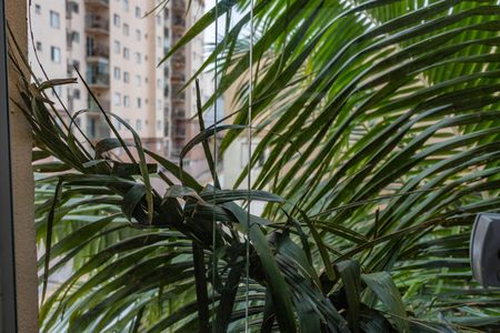 Apartamento à venda com 52m², 2 quartos e 1 vagaVista da área de serviço