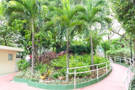 Apartamento à venda com 54m², 2 quartos e 1 vagaBosque