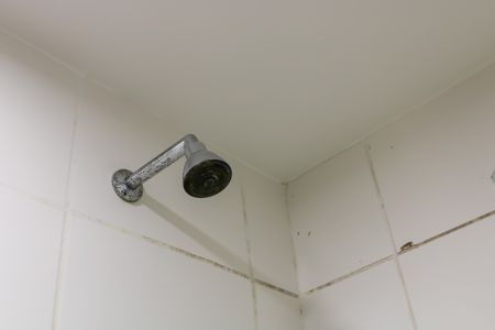 Apartamento à venda com 54m², 2 quartos e 1 vagaBanheiro do Quarto Suíte