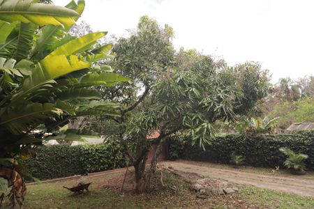 Casa para alugar com 228m², 3 quartos e 4 vagasQuintal