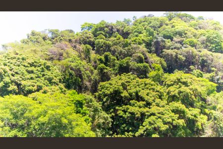 Apartamento para alugar com 120m², 3 quartos e 1 vaga Apartamento para alugar com 120m², 3 quartos e 1 vagaVista Suíte