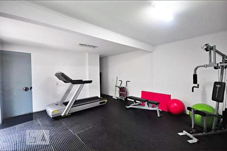 Apartamento para alugar com 280m², 3 quartos e 3 vagas Apartamento para alugar com 280m², 3 quartos e 3 vagasAcademia