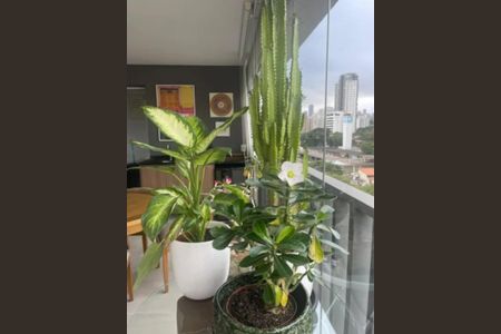 Apartamento para alugar com 3 quartos, 98m² em Vila Vera, São Paulo