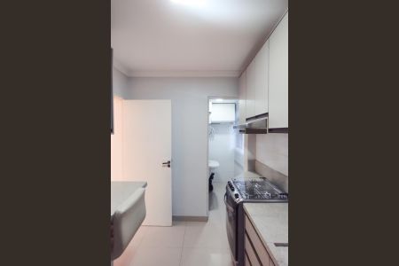 Apartamento para alugar com 60m², 3 quartos e sem vaga Apartamento para alugar com 60m², 3 quartos e sem vagaCozinha