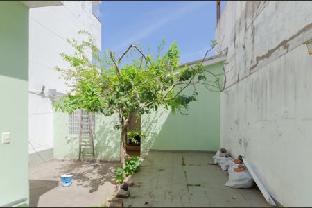 Casa à venda com 235m², 6 quartos e 2 vagas Casa à venda com 235m², 6 quartos e 2 vagasQuintal