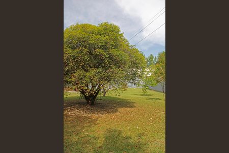 Casa de condomínio para alugar com 200m², 3 quartos e 10 vagasÁrea Externa