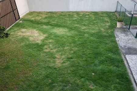 Casa à venda com 78m², 2 quartos e sem vaga Casa à venda com 78m², 2 quartos e sem vagaQuintal