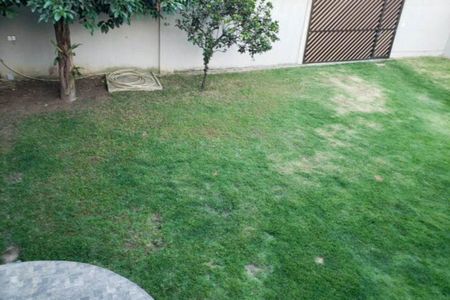 Casa à venda com 78m², 2 quartos e sem vaga Casa à venda com 78m², 2 quartos e sem vagaQuintal