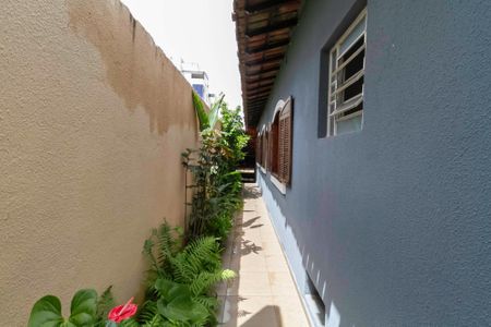 Casa à venda com 257m², 4 quartos e 4 vagas Casa à venda com 257m², 4 quartos e 4 vagasQuintal
