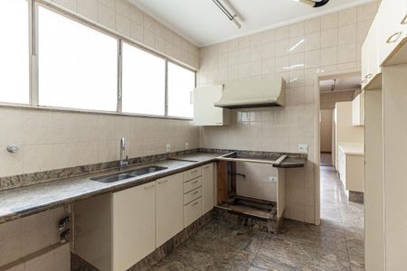 Apartamento à venda com 273m², 4 quartos e 1 vagaCozinha