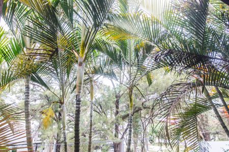 Casa para alugar com 214m², 4 quartos e 2 vagasVista