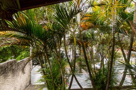 Casa para alugar com 214m², 4 quartos e 2 vagasVista