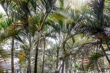 Casa para alugar com 214m², 4 quartos e 2 vagasVista