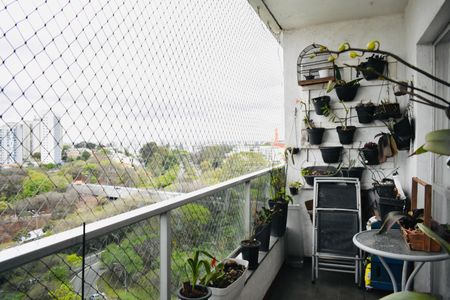 Apartamento à venda com 149m², 3 quartos e 2 vagas Apartamento à venda com 149m², 3 quartos e 2 vagasSacada