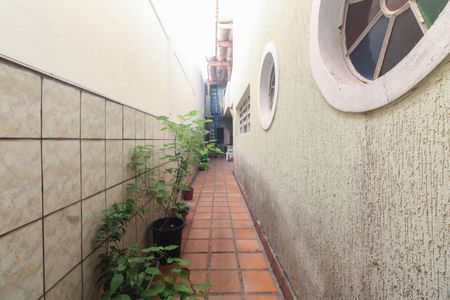 Casa à venda com 360m², 3 quartos e 3 vagasQuintal