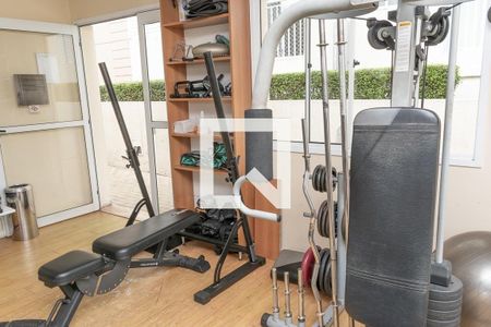 Apartamento para alugar com 65m², 3 quartos e 1 vaga Apartamento para alugar com 65m², 3 quartos e 1 vagaÁrea comum